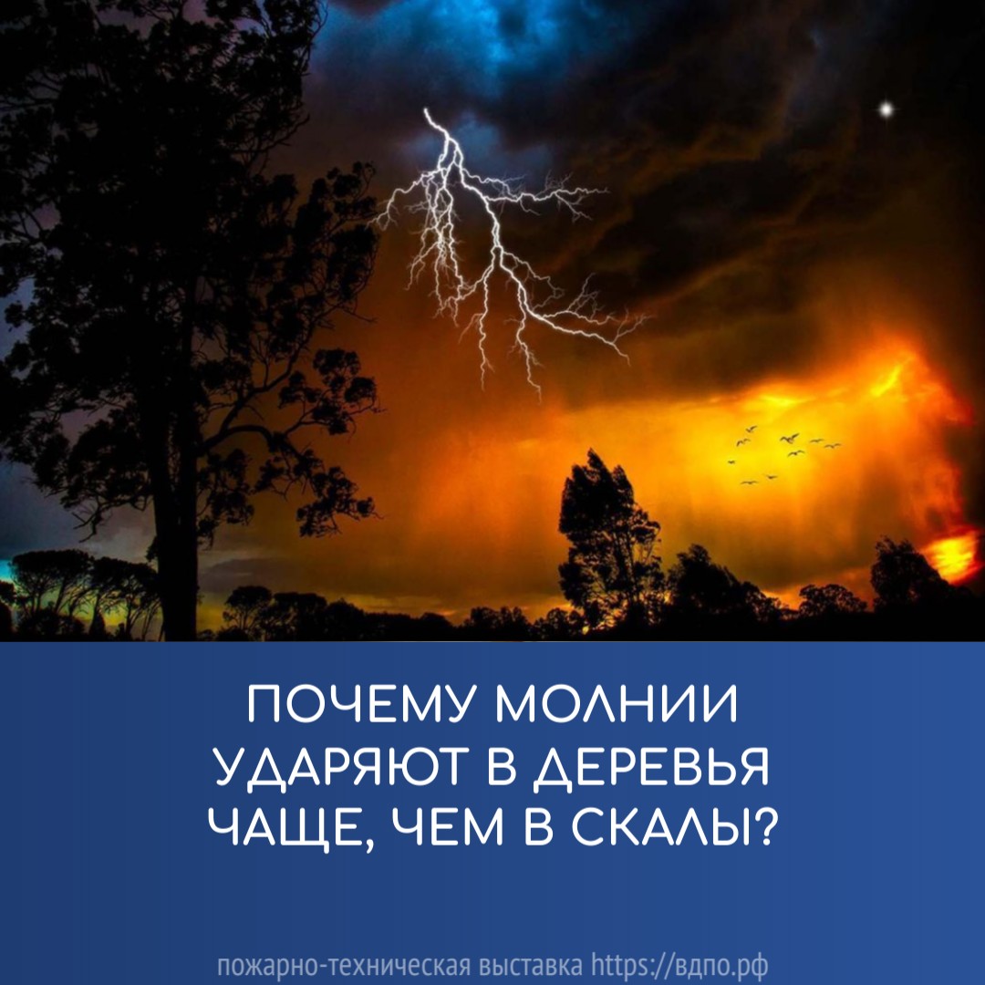 Почему молнии ударяют в деревья чаще, чем в скалы?. Это интересно!  Интересные (занимательные) факты о пожарных, спасателях, добровольцах на  портале ВДПО.РФ